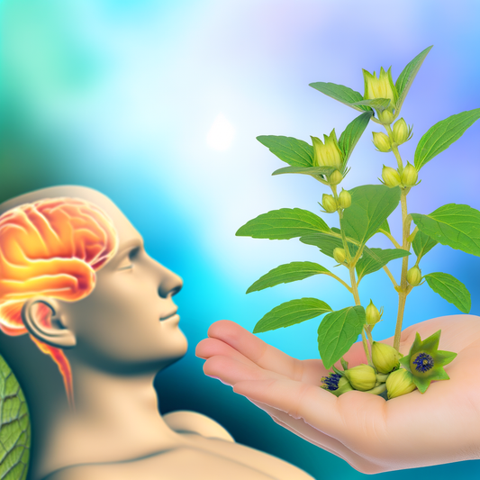 The Incredible Health Benefits of Ashwagandha for Stress Relief